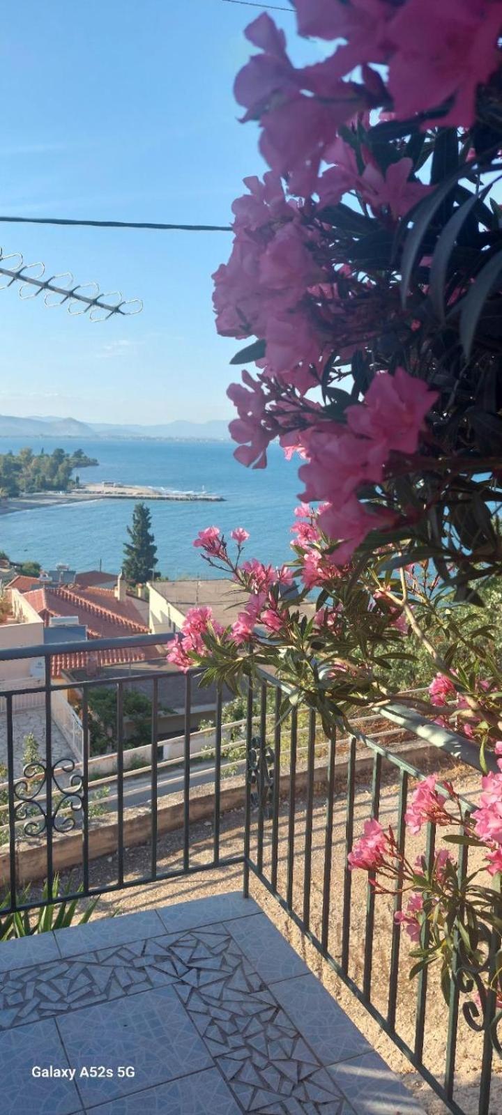 Βίλα Πασιθέα Kivérion Esterno foto